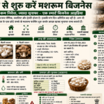 Mushroom Business at Home – A Profitable Small Business Idea